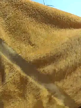 Snapshot of Tocameamor chatting on February 21, 2026, 9:05 pm Tocameamor online show from February 21, 2026, 9:05 pm