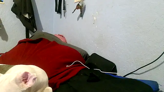 Snapshot of PornStro921 chatting on May 3, 2026, 4:02 pm PornStro921 online show from May 3, 2026, 4:02 pm