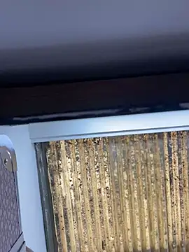 Madisson-Rivas online show from November 13, 2025, 6:07 pm