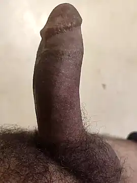 alkhabiir online show from November 2, 2025, 8:17 am