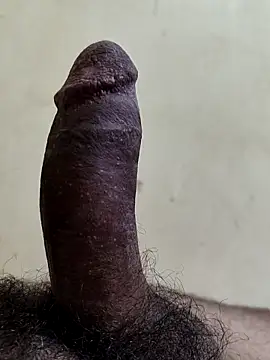 Snapshot of alkhabiir chatting on February 21, 2026, 6:58 am alkhabiir online show from February 21, 2026, 6:58 am