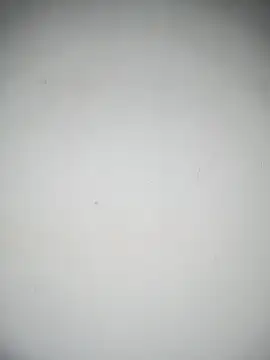 Snapshot of LISA_089 chatting on October 15, 2025, 12:16 pm LISA 089 online show from October 15, 2025, 12:16 pm