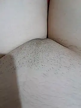 yakot7 online show from October 31, 2025, 12:11 am