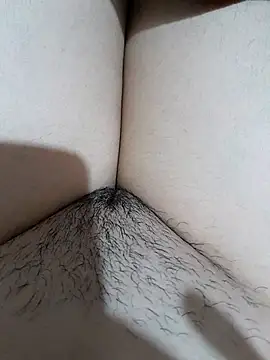 yakot7 online show from November 17, 2025, 11:21 pm