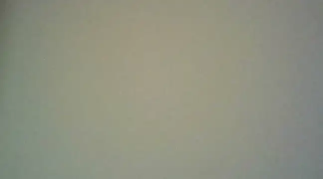 Snapshot of Enoch981 chatting on March 9, 2025, 9:03 pm Enoch981 online show from March 9, 2025, 9:03 pm