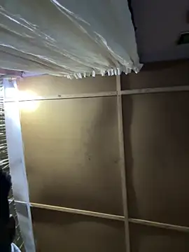 prettybuddyhead1 online show from March 6, 2025, 6:41 am