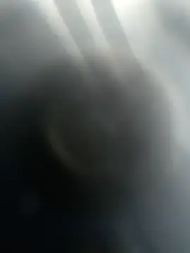 Gotabodiee online show from November 13, 2025, 12:59 pm