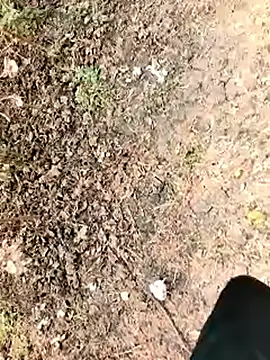 Snapshot of himvilohi08 chatting on January 7, 2026, 6:16 am himvilohi08 online show from January 7, 2026, 6:16 am