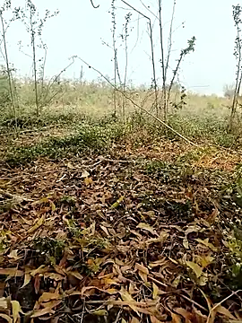 Snapshot of himvilohi08 chatting on February 4, 2026, 4:07 am himvilohi08 online show from February 4, 2026, 4:07 am