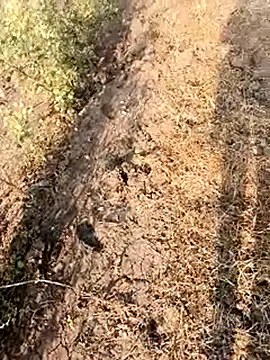 Snapshot of himvilohi08 chatting on February 28, 2026, 3:07 am himvilohi08 online show from February 28, 2026, 3:07 am