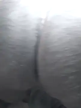 Snapshot of Idontmind367 chatting on November 14, 2025, 5:06 am Idontmind367 online show from November 14, 2025, 5:06 am