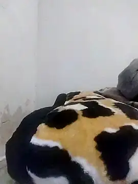 Snapshot of CertifiedSatisfier chatting on October 29, 2025, 1:46 pm CertifiedSatisfier online show from October 29, 2025, 1:46 pm