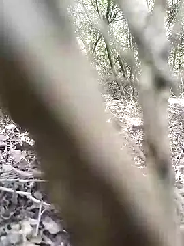 Snapshot of CertifiedSatisfier chatting on November 12, 2025, 10:37 am CertifiedSatisfier online show from November 12, 2025, 10:37 am