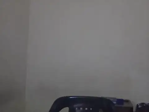 Snapshot of Visculi chatting on December 14, 2025, 8:46 pm Visculi online show from December 14, 2025, 8:46 pm