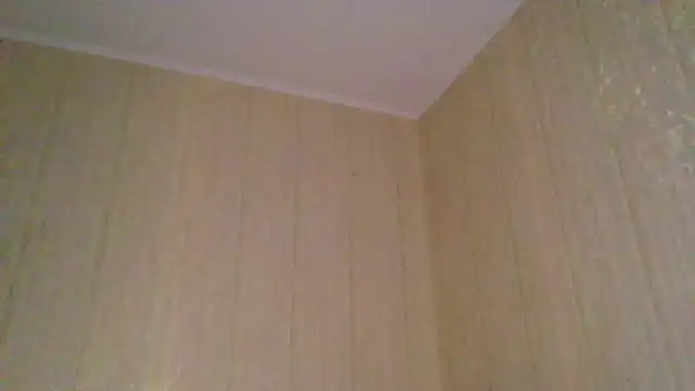 Snapshot of _Black-Panther_ chatting on November 12, 2025, 2:06 pm Black-Panther online show from November 12, 2025, 2:06 pm