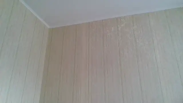 Snapshot of _Black-Panther_ chatting on February 11, 2026, 9:58 am Black-Panther online show from February 11, 2026, 9:58 am