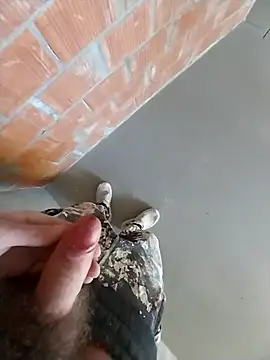 Snapshot of MaksDzubaV chatting on March 7, 2026, 11:18 am MaksDzubaV online show from March 7, 2026, 11:18 am