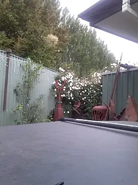 Snapshot of TAIZ69WORLD chatting on November 5, 2025, 6:24 am TAIZ69WORLD online show from November 5, 2025, 6:24 am