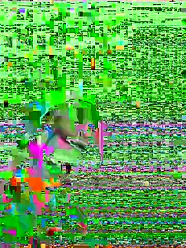 Snapshot of HenriquePhn chatting on February 6, 2026, 3:00 am HenriquePhn online show from February 6, 2026, 3:00 am