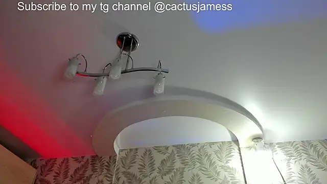 Snapshot of Cactus__James chatting on February 21, 2026, 8:10 pm Cactus James online show from February 21, 2026, 8:10 pm