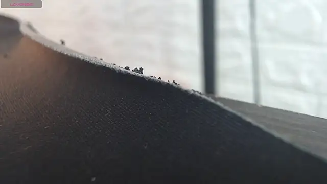 nei girl online show from November 30, 2025, 11:47 am