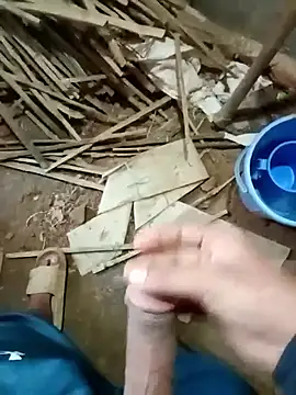 zim200 online show from November 20, 2025, 6:35 am