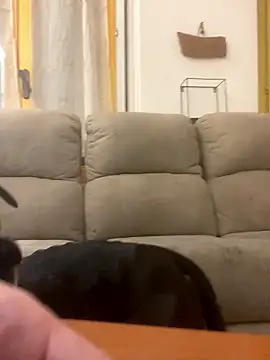 Snapshot of BestSexForYou chatting on January 16, 2026, 2:15 am BestSexForYou online show from January 16, 2026, 2:15 am