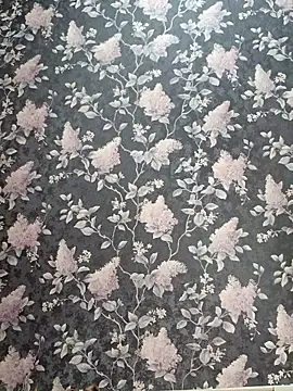 Snapshot of Dari_Toy_ chatting on November 7, 2025, 1:38 am Dari Toy online show from November 7, 2025, 1:38 am