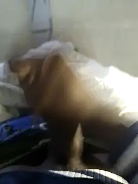 92donis online show from November 20, 2025, 7:24 pm