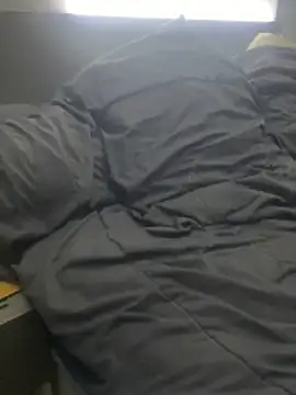 pophiboy online show from November 15, 2025, 3:52 pm