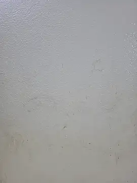 titooritax online show from October 16, 2025, 9:49 pm