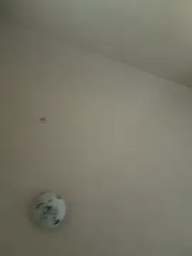 xotflzzz online show from December 16, 2025, 1:05 pm