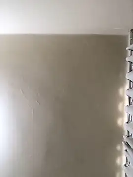 Snapshot of MusaAyla chatting on February 8, 2026, 5:05 pm MusaAyla online show from February 8, 2026, 5:05 pm