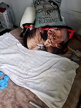 Wilsonn86 online show from February 9, 2026, 8:29 am