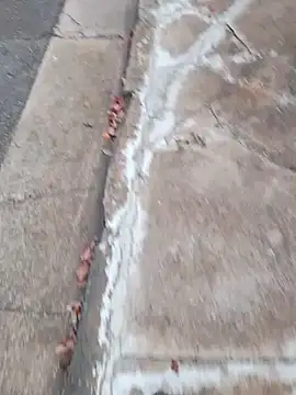 Snapshot of dickcurved38 chatting on February 20, 2026, 4:53 am dickcurved38 online show from February 20, 2026, 4:53 am