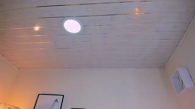 LusyKitty online show from December 2, 2025, 3:40 pm