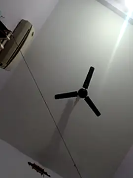 monster-dickk online show from December 2, 2025, 3:18 pm