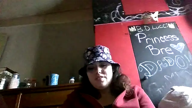 Snapshot of princessbr_013 chatting on February 14, 2026, 10:50 pm princessbr 013 online show from February 14, 2026, 10:50 pm