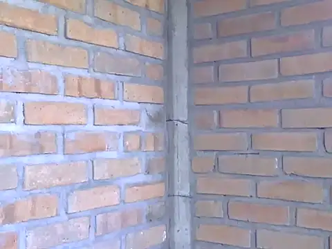 Boycumlatino online show from October 15, 2025, 8:53 pm