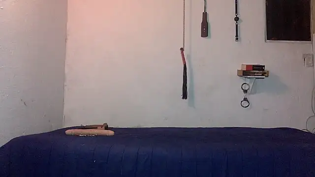 Snapshot of indomitaFox chatting on February 25, 2026, 2:54 am indomitaFox online show from February 25, 2026, 2:54 am