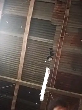 Snapshot of Davir2001 chatting on March 1, 2026, 11:56 am Davir2001 online show from March 1, 2026, 11:56 am