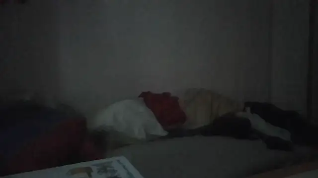 Snapshot of ARTANIS20 chatting on January 11, 2026, 7:35 am ARTANIS20 online show from January 11, 2026, 7:35 am