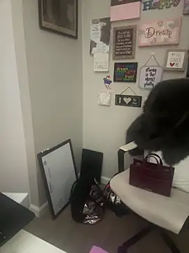 Snapshot of Juicystorm chatting on February 11, 2026, 1:10 am Juicystorm online show from February 11, 2026, 1:10 am