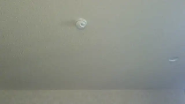 Snapshot of Flossee chatting on April 11, 2026, 12:15 am Flossee online show from April 11, 2026, 12:15 am