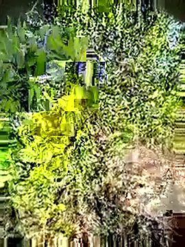 Desi Horny Boys online show from May 3, 2026, 3:12 am