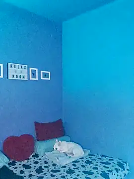 Noty bcn online show from November 2, 2025, 12:02 am