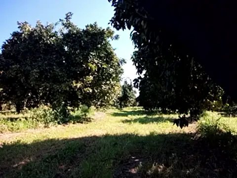 Snapshot of stefanoss321 chatting on March 9, 2026, 9:24 am stefanoss321 online show from March 9, 2026, 9:24 am