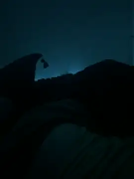 Snapshot of bjarson123 chatting on February 11, 2026, 10:53 am bjarson123 online show from February 11, 2026, 10:53 am