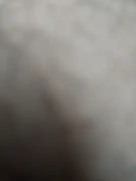 Snapshot of Leofj007 chatting on March 4, 2026, 5:08 pm Leofj007 online show from March 4, 2026, 5:08 pm