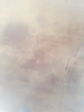 Snapshot of 0023doja chatting on October 10, 2025, 11:26 pm 0023doja online show from October 10, 2025, 11:26 pm